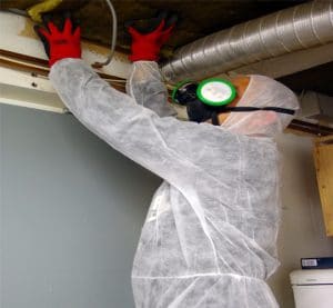 asbestos survey