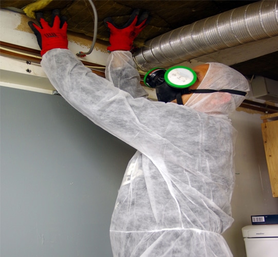 asbestos survey